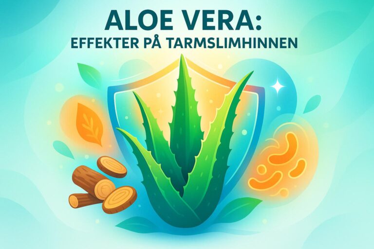 Aloe Vera: Effekter på Tarmslimhinnen
