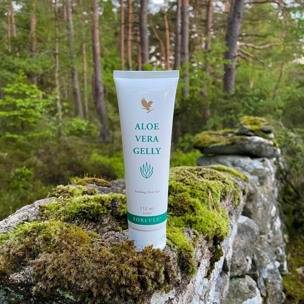 Aloe vera-gel illustrert sammen med aloe vera-planten.